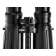 Zeiss Binocolo Dialyt 8x56 GA T